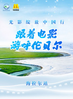 了不起的已婚妇女和岳父